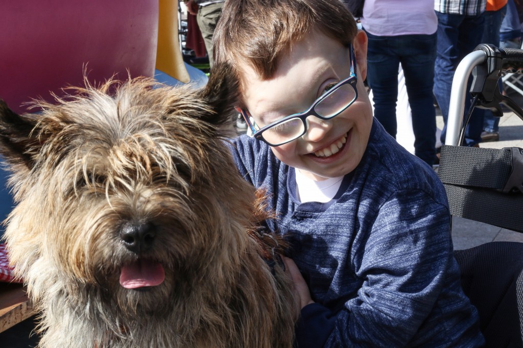 Bild 1: Viel Spaß mit Hund Berta hatte der tierliebe Daniel auf dem Frühlingsfest.